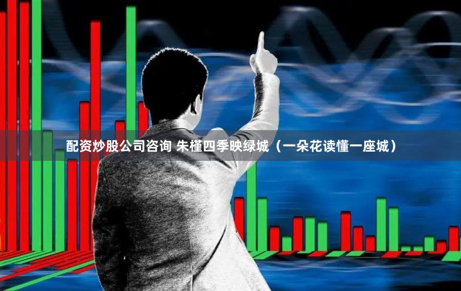 配资炒股公司咨询 朱槿四季映绿城（一朵花读懂一座城）