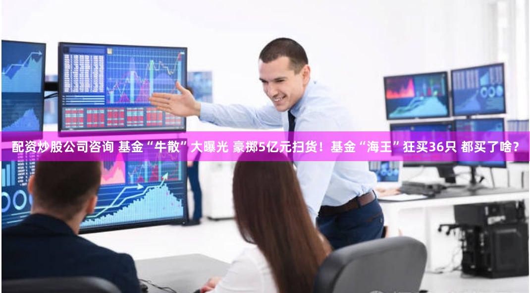 配资炒股公司咨询 基金“牛散”大曝光 豪掷5亿元扫货！基金“海王”狂买36只 都买了啥？