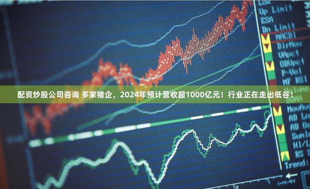 配资炒股公司咨询 多家猪企，2024年预计营收超1000亿元！行业正在走出低谷！